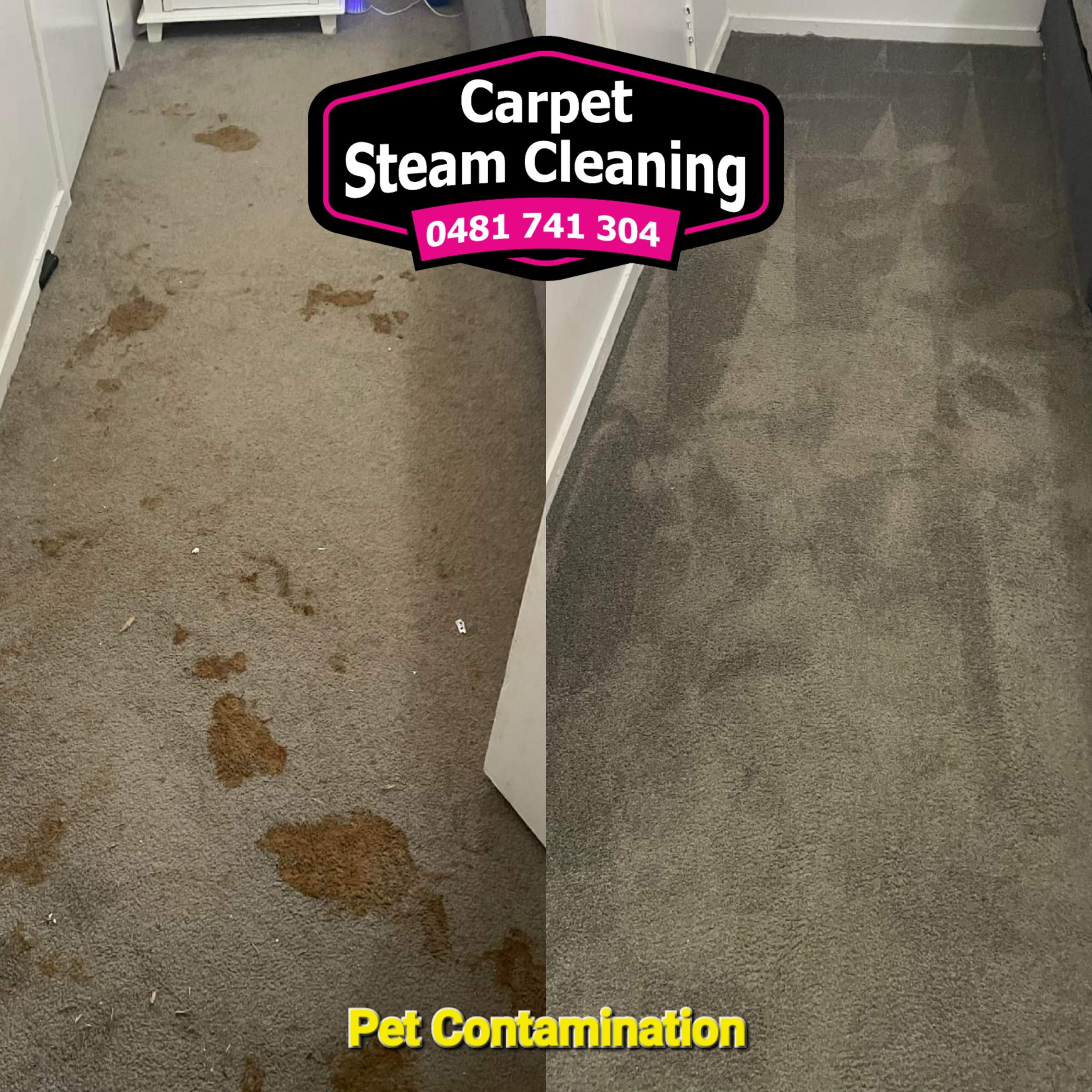 HOME Carpet Steam Clean Ipswich